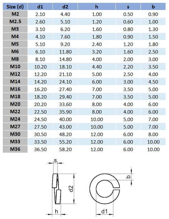 Metric Spring Washer 304 Stainless Steel