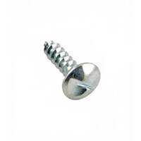 Champion NPS5 M6 x 20 One Way Screw -  50/Pack