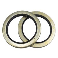 Champion CDW12 Dowty Seal (Bonded) Washer Suits 14mm - 25/Pack