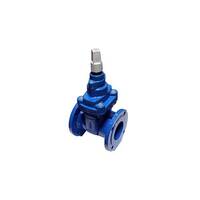 AAP Resilient Gate Valve ACC Spindle Cap Table-C
