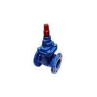 AAP Resilient Gate Valve Spindle Cap Table-C