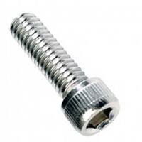 BSW Socket Head Cap Screw (316) Assortment Refill
