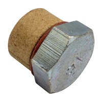 Champion Drain (Sump) Plug