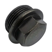 Champion Drain (Sump) Plug - Metric