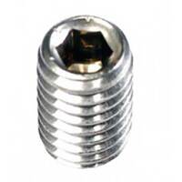 Champion Stainless Grub Screw