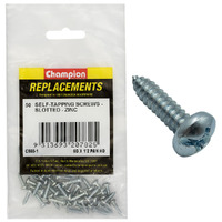 Pan Head Slotted Self Tapping Screw Assortment Refill (CA560)