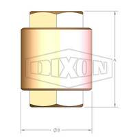 Dixon Brass Inline Spring Check Valve York Plastic Stem