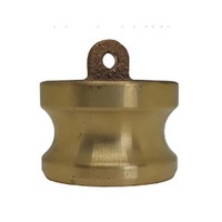 Dixon Bronze Sand Cast Standard BSP Cam & Groove Type DP Dust Plug