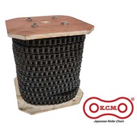 KCM BS Roller Chain Simplex (RIVX)