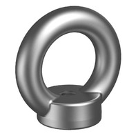Lifting Eye Nut DIN 582 - Stainless Steel 316 Grade A4