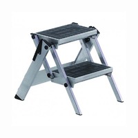 Little Jumbo Safety Steps - Step Compact