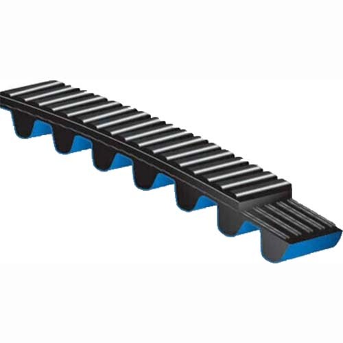 Gt belt online