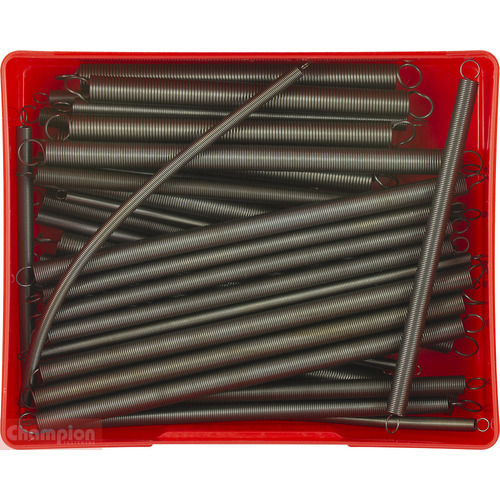 Champion CA103 Accelerator Spring Assortment Kit, 36 Pieces