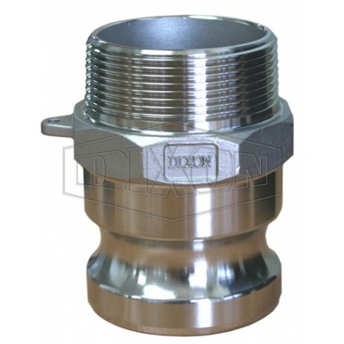Dixon Cam & Groove Type F Adapter x Male BSP Stainless Steel 20mm