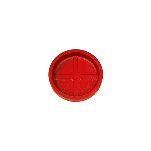 AAP 2" (50mm) Roll Groove Cap - Painted GCA50