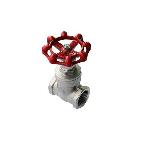 AAP 32mm, 1-1/4" Stainless Steel Gate Valve SSGA32