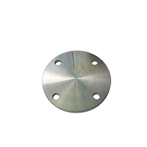 AAP 1", 25mm Blind Flanges 316/316L SS Table-E SSFBE31625