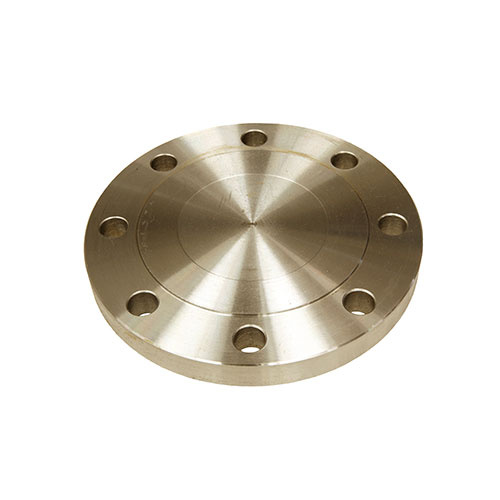 AAP 1", 25mm Blind Flanges 316/316L SS C150 SSFB15031625