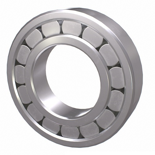 NACHI N305C3 Cylindrical Roller Bearings 300 Series N 25 x 62 x 17mm