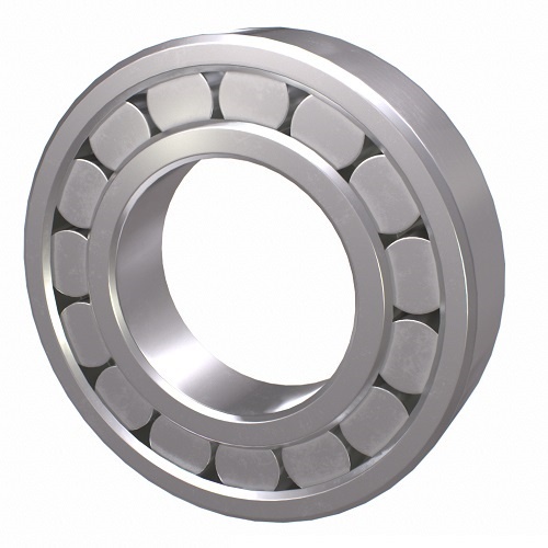 NACHI NUPK2205S14NC3 Cylindrical Roller Bearings 200 Series NUP 100 x 180 x 34mm