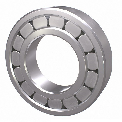 Nachi N204 Cylindrical Bearing Loose Outer Fixed Inner 20 x 47 x 14mm