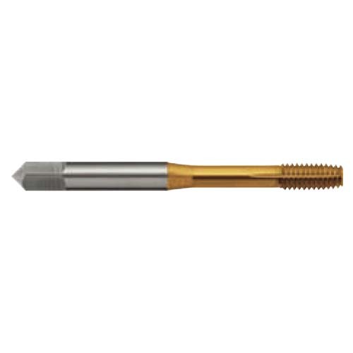 Sutton T5150100 Metric M1 x 0.25 Thread Forming Tap Single Coolant Groove B Lead