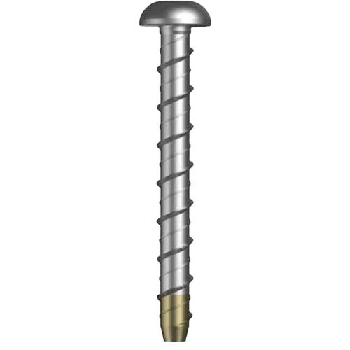 M6 x 65mm Masonry Screw Xbolt Torx Dr Dome Head Mechanical Gal  - Box of 50