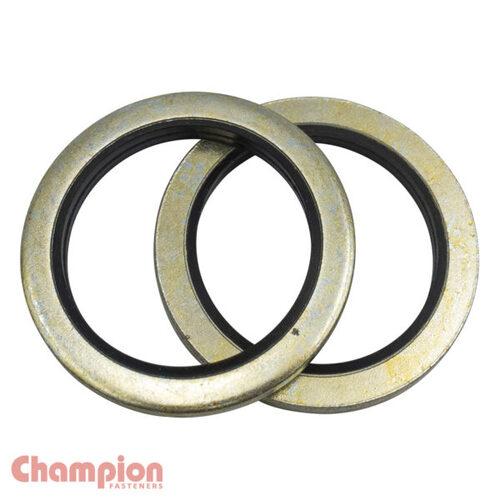 Champion CDW1 Dowty Seal (Bonded) Washer Suits 1/8" BSP - 25/Pack