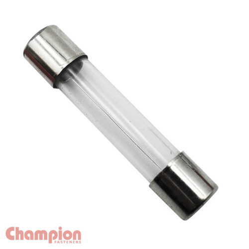 Champion SFE14 Glass Fuse SFE 14 Amp - 50/Pack