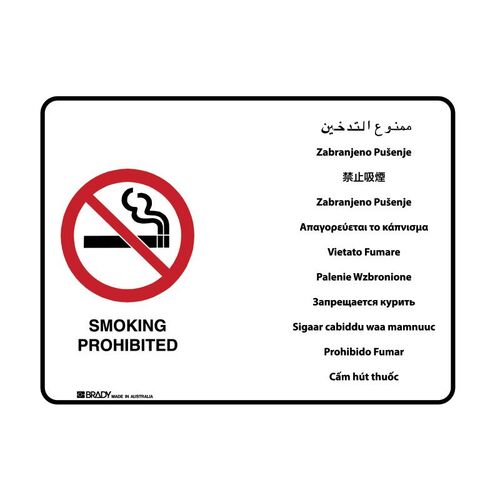 Brady Multilingual Sign - Smoking Prohibited 600 x 450mm Metal