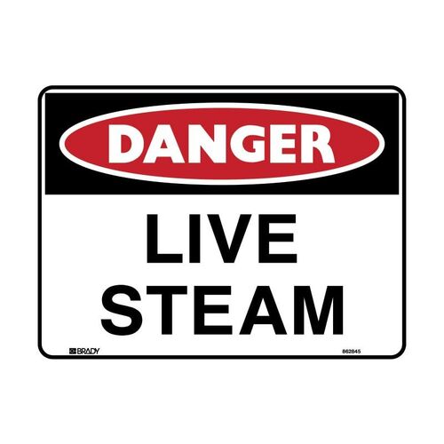 Brady Danger Sign - Live Steam 450 x 300mm Metal (Colorbond Steel)