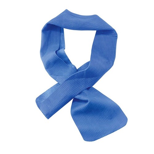 Ergodyne Chill-Its 6603 Evaporative Cooling Band - Blue - Pack of 24